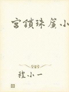 宫锁珠帘小说