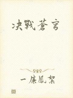 决战苍穹封面