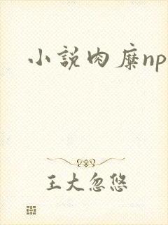 小说肉糜np