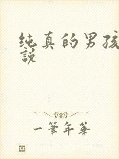 纯真的男孩子小说封面
