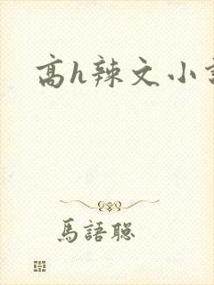 高h辣文小说封面