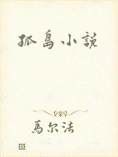 孤岛小说
