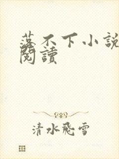 落不下小说免费阅读封面