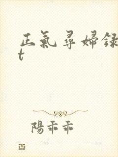 正气寻妇录txt