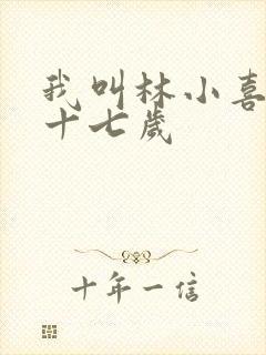 我叫林小喜今年十七岁