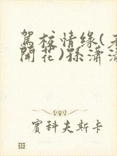 驾校情缘(老树开花)孙潇潇笔趣阁封面