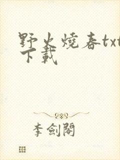 野火烧春txt下载封面