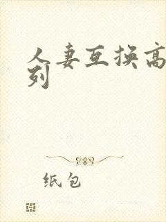 人妻互换高h系列