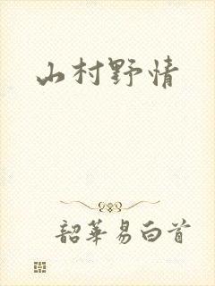 山村野情封面