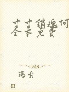 寸寸销魂何生祥全本免费