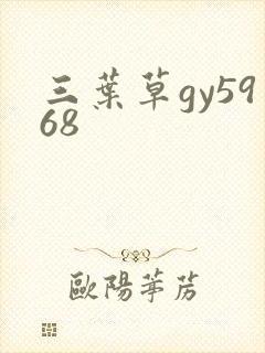 三叶草gy5968