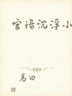 官场沉浮小说封面