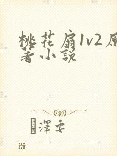 桃花扇1v2原著小说封面