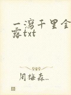 一泻千里金银花露txt