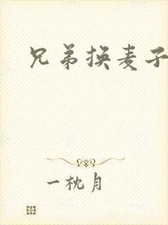 兄弟换麦子4封面