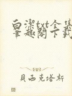 白洁txt全集笔趣阁下载