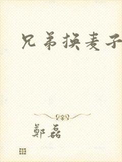 兄弟换麦子4