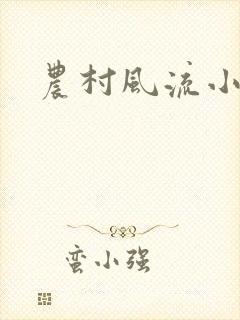农村风流小说封面