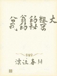 公翁的粗大放进我的秘密