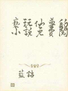 亵玩仙尊的道侣小说免费阅读