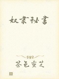 奴隶秘书