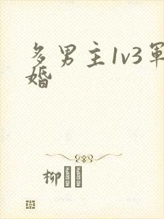 多男主1v3军婚