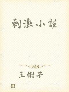 刺激小说