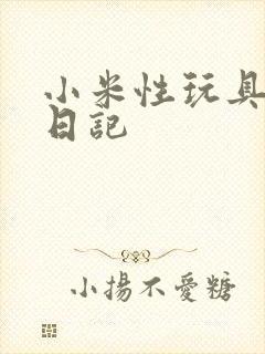 小米性玩具羞辱日记封面