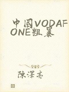 中国VODAFONE粗暴