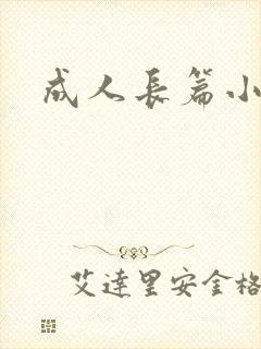 成人长篇小说