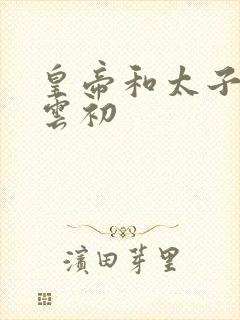 皇帝和太子妃h云初封面