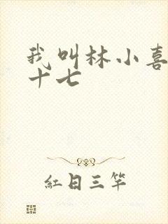 我叫林小喜今年十七封面