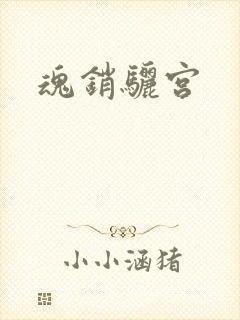 魂销骊宫