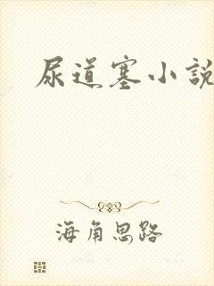 尿道塞小说