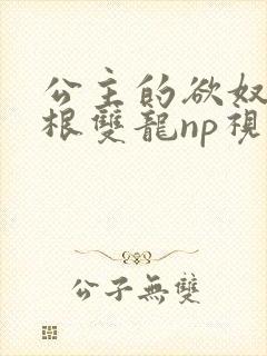 公主的欲奴h四根双龙np视频
