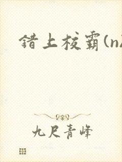 错上校霸(n)
