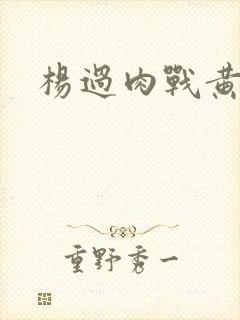 杨过肉战黄蓉