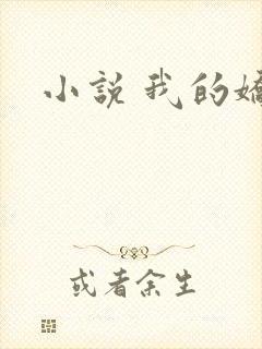 小说 我的娇妻