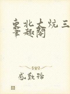 东北大炕三部曲笔趣阁封面
