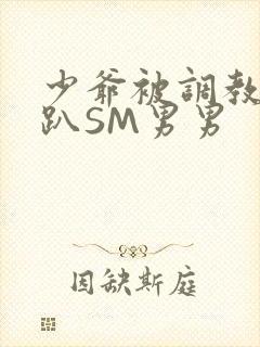 少爷被调教室跪趴SM男男