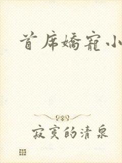 首席娇宠小情人