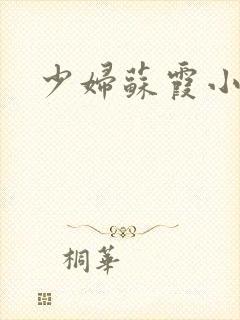 少妇苏霞小说