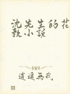 沈先生的花式调教小说