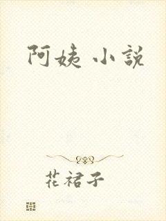 阿姨 小说