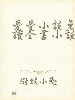 爱爱小说免费阅读全书小说乡村封面