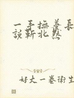 一手抚养长大小说靳北然
