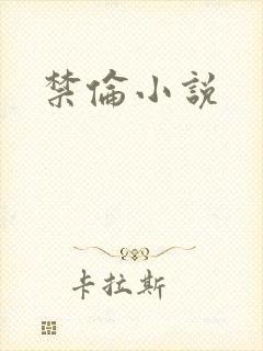 禁伦小说