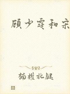 顾少霆和宋斯曼