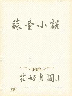 苏童小说