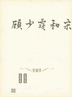 顾少霆和宋斯曼封面